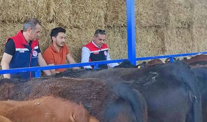 Kırsalda Bereket Projesi Çine’de Üreticiye Can Suyu Oldu