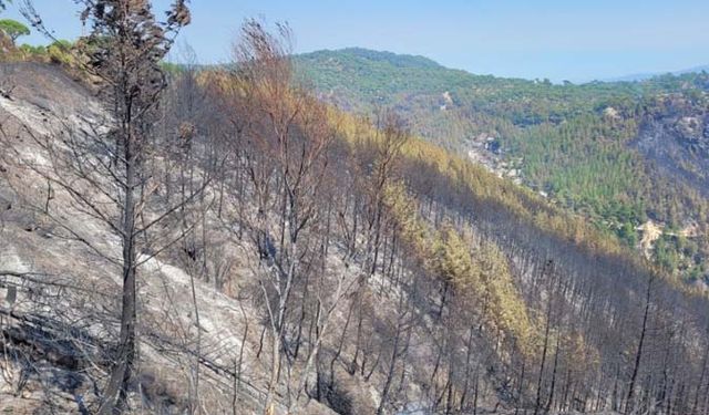 Bozdoğan yangını 45’inci saatte devam ediyor