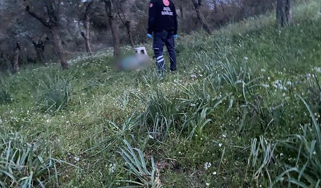 Çine’de genç adam annesine veda etti, sonra canına kıydı
