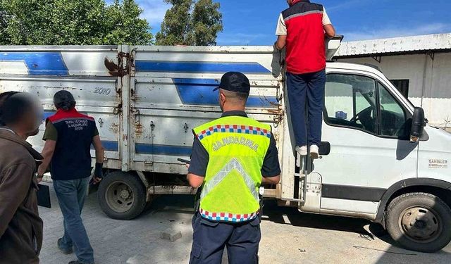 Karpuzlu'da canlı hayvan taşıyan 2 kişi cezadan kaçamadı