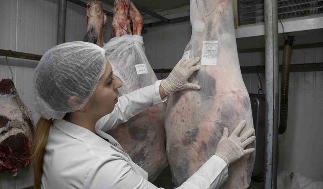 Aydın'da, 2025 büyükbaş, küçükbaş kurbanlık kesim tarifesi