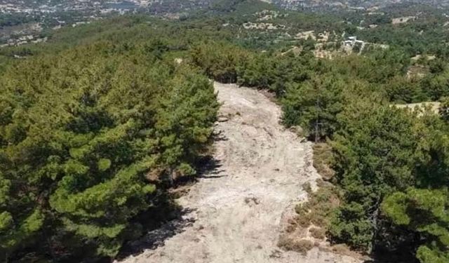 Çine’de orman yangınlarına karşı önleyici temizlik çalışması yapıldı