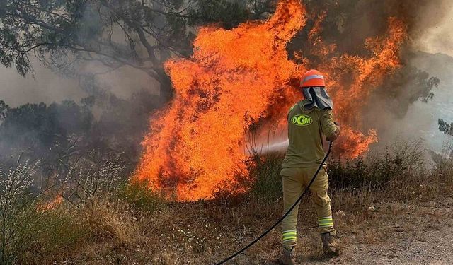 Aydın’da ormanlar için kırmızı alarm