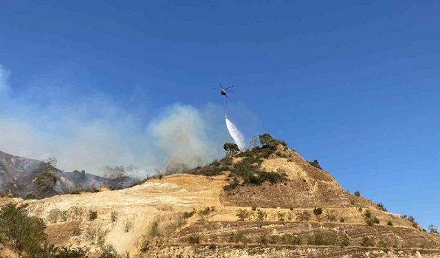 Aydın’daki yangını söndürme çalışmaları sürüyor
