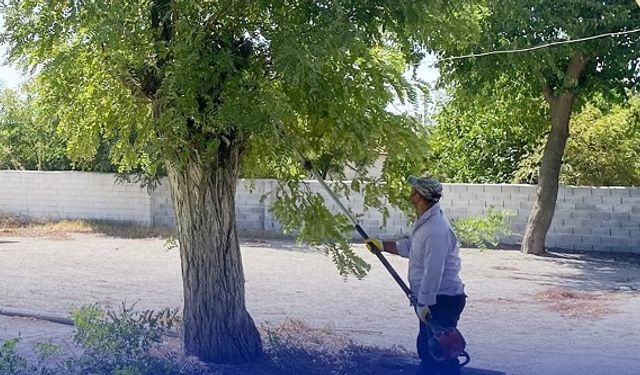 Çine’de okul bahçeleri yeni döneme hazır
