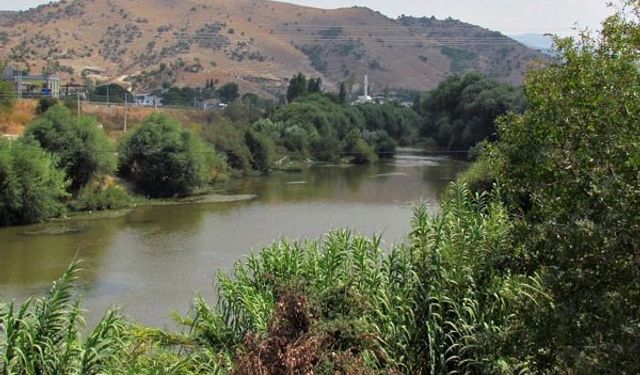 Çine 'da üzücü bir olay yaşandı