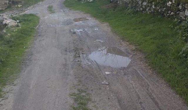 Akçaova’da Yol Tepkisi: “Çocuklarımızı Temiz Okula Göndermek İstiyoruz”