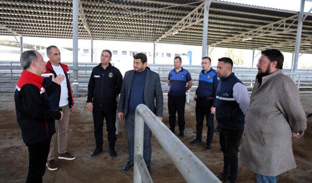 Çine Ekonomisine Can Suyu: Hayvan Pazarı Yeniden Açılıyor