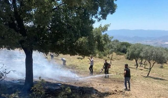 Çine Sarnıç'ta zeytinlik alanda çıkan yangın büyümeden kontrol altına alındı