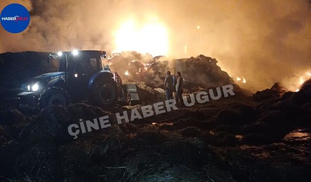 Çine'de 150 Ton Saman Kül Oldu