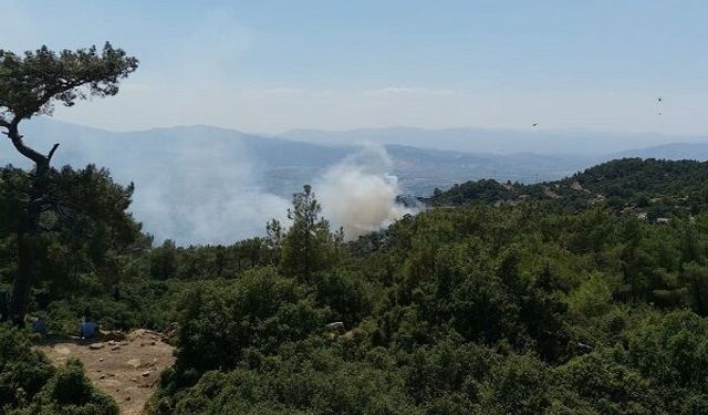 Aydın Valiliği’nden kritik orman yangını uyarısı