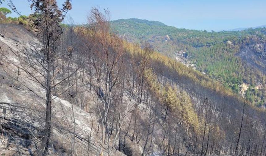 Bozdoğan yangını 45’inci saatte devam ediyor