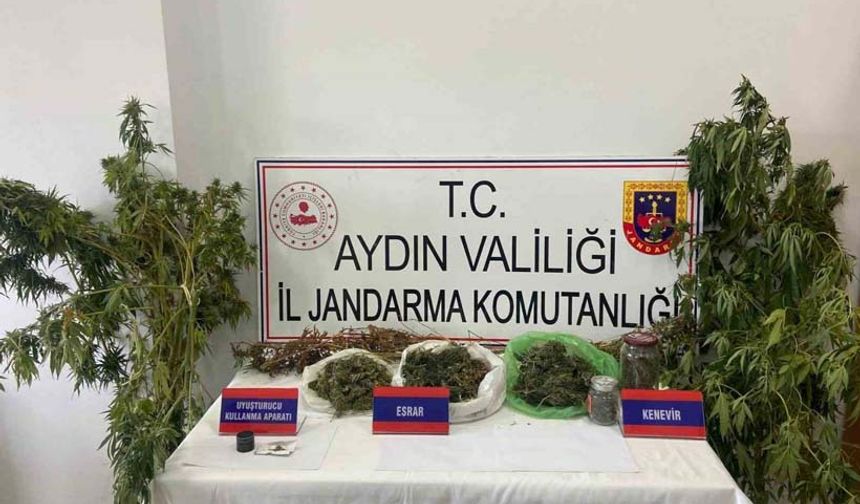 Mısır tarlasına uyuşturucu ekti, jandarmadan kaçamadı