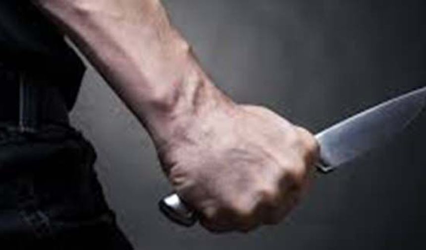 Çine'de Bıçaklı Yaralama: 2 Kişi Yaralandı, Şüpheli Yakalandı