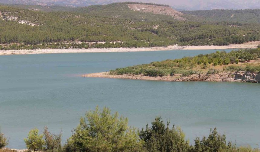 Aydın’da kuraklık kapıya dayandı