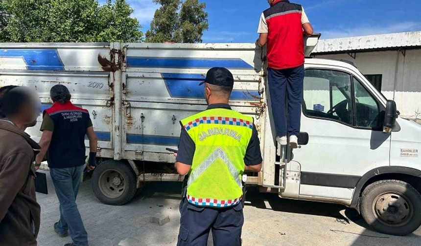 Karpuzlu'da canlı hayvan taşıyan 2 kişi cezadan kaçamadı