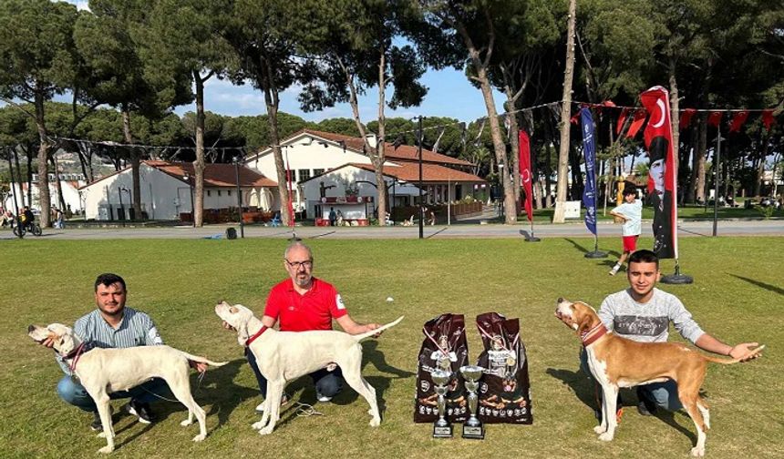 Pointer cinsi "Can Beyaz" Çine’ye iki kupalarıyla döndü