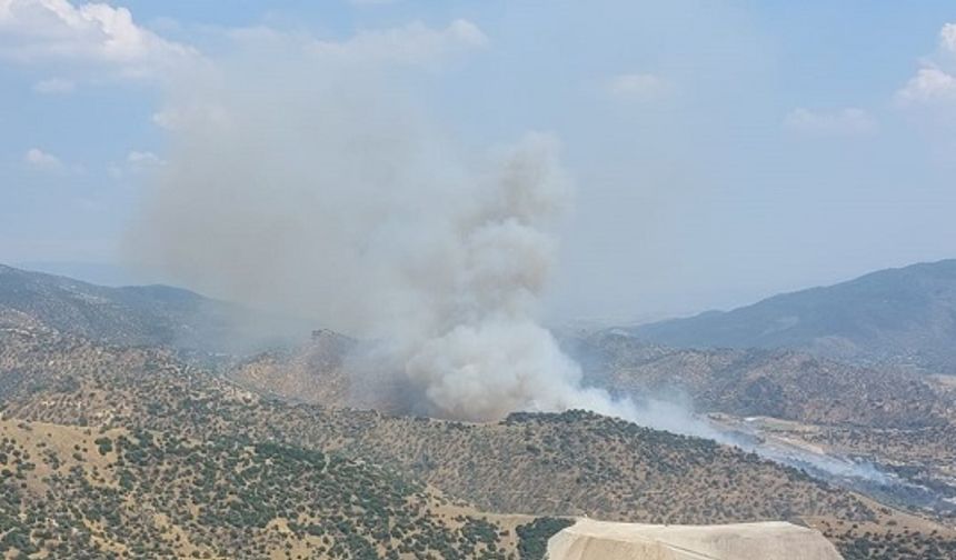 Savrandere'de zirai alan yangını