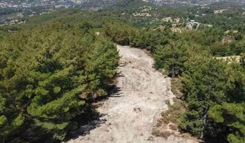 Çine’de orman yangınlarına karşı önleyici temizlik çalışması yapıldı