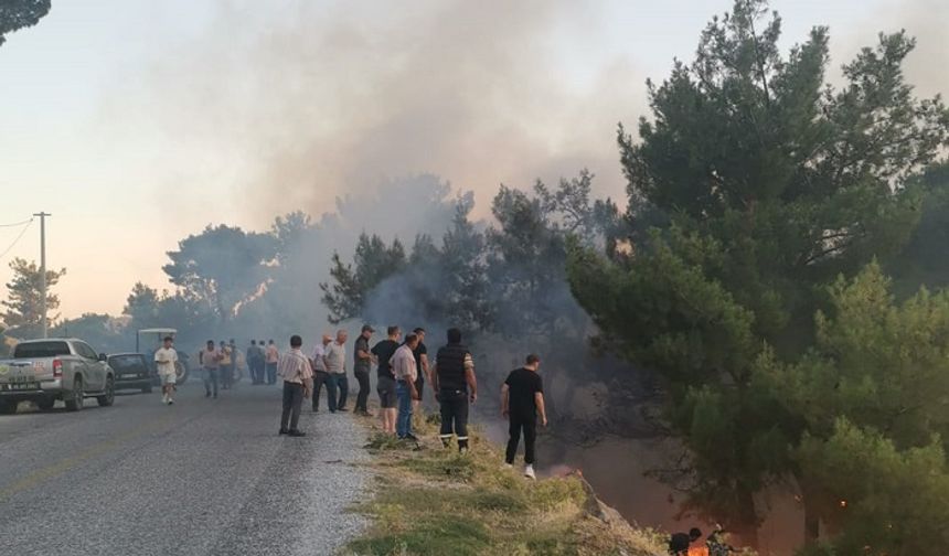 Çine Kavşit Mahallesi’ndeki yangın ucuz atlatıldı