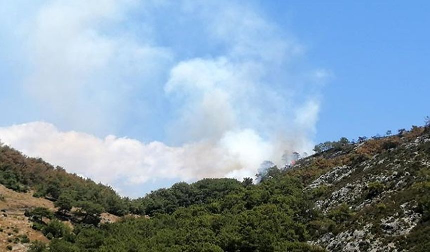 Çine Alabayır Mahallesi'nde Yangın Çıktı