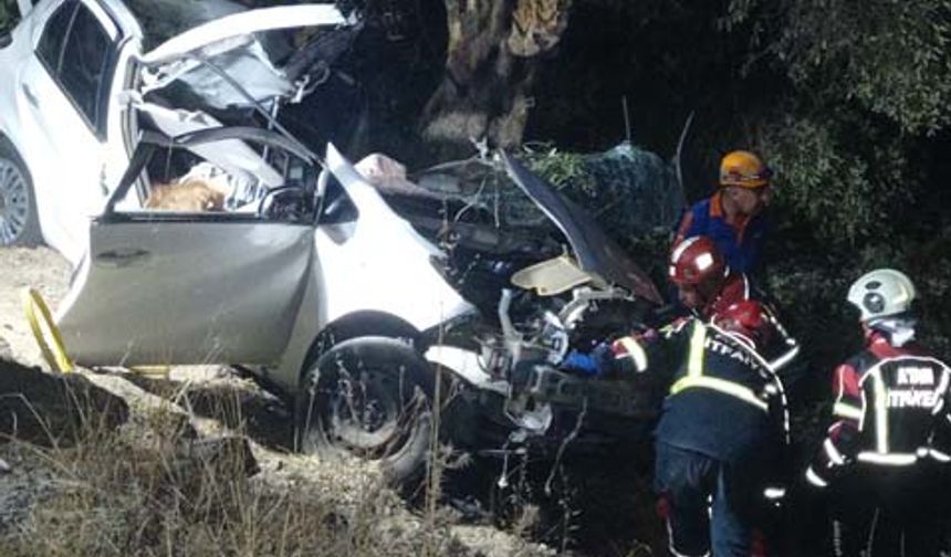 Çine’de trafik kazası araç zeytinliğe uçtu