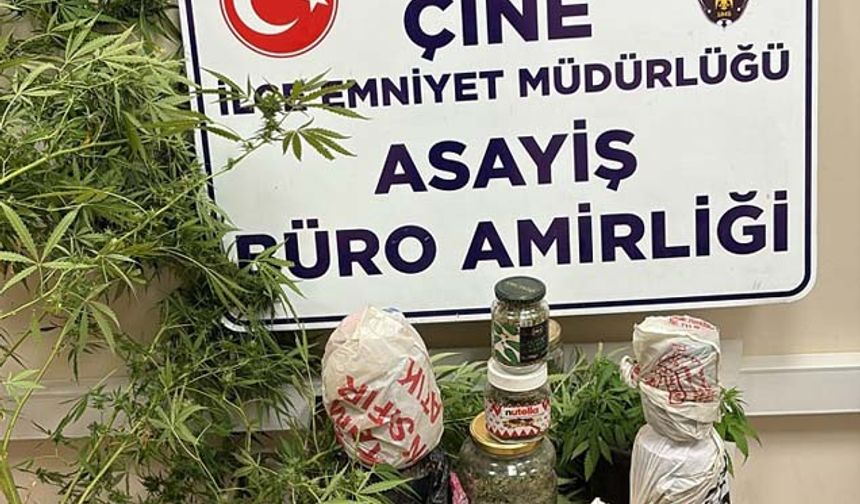 Çine’de: 20 Kök Hint Keneviri ve 5 Kilo Esrar Ele Geçirildi
