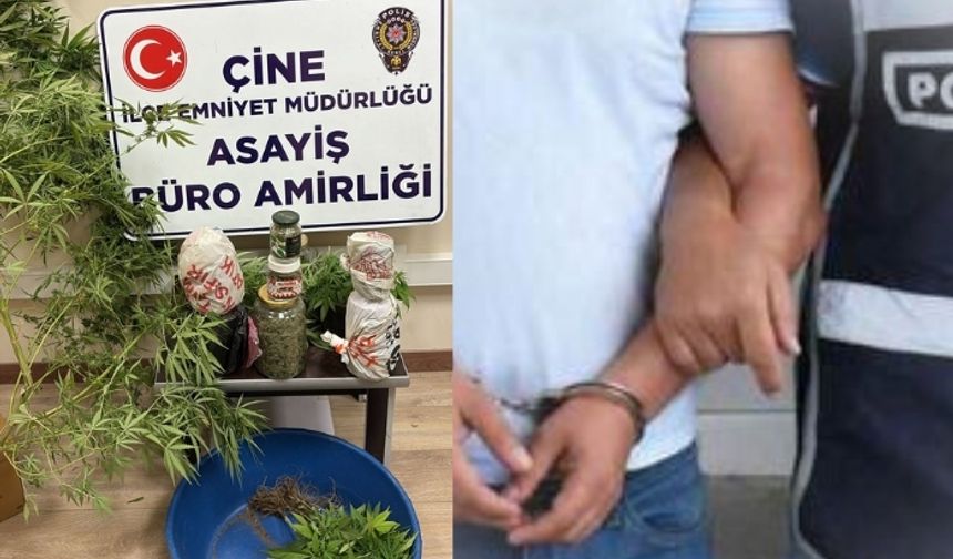 Çine’de zehir taciri tutuklandı