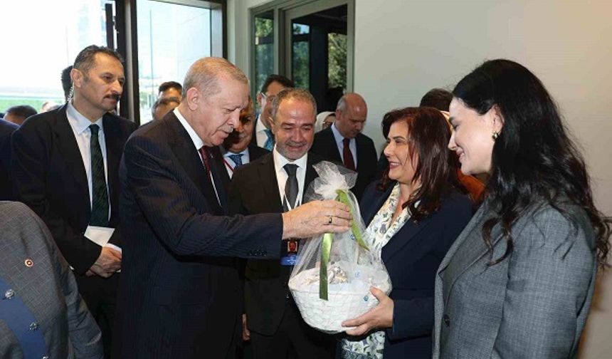 Başkan Çeriçoğlu’ndan Erdoğan’a Aydın inciri