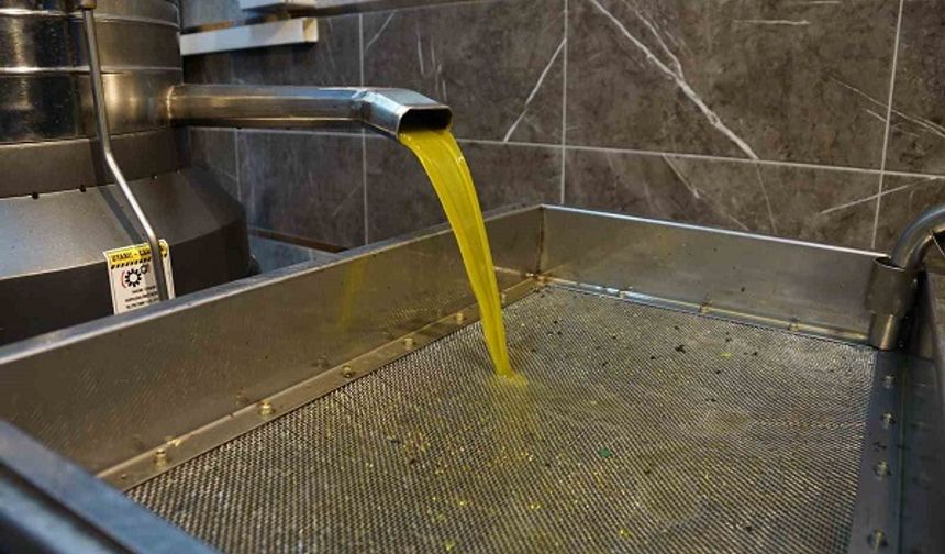 Zeytinyağı fiyatları belli oldu, fiyatlarda artış yaşandı