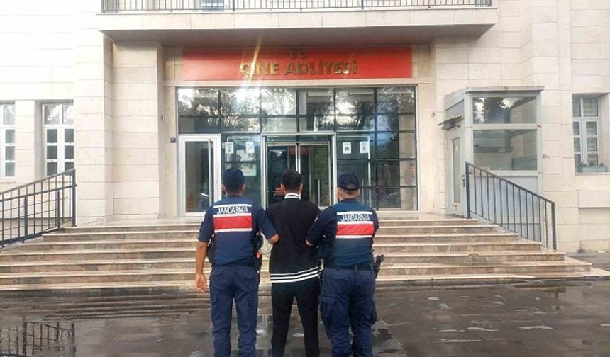 Çine’de Tefecilik Operasyonu: 5 Gözaltı, 2 Tutuklama!