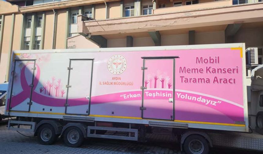 PEMBE TIR Çine’de