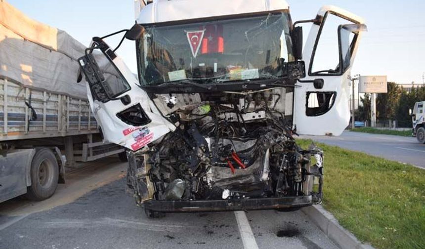 Çine’de Kamyon ile TIR Çarpıştı: 1 Yaralı