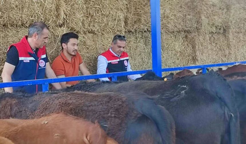 Kırsalda Bereket Projesi Çine’de Üreticiye Can Suyu Oldu