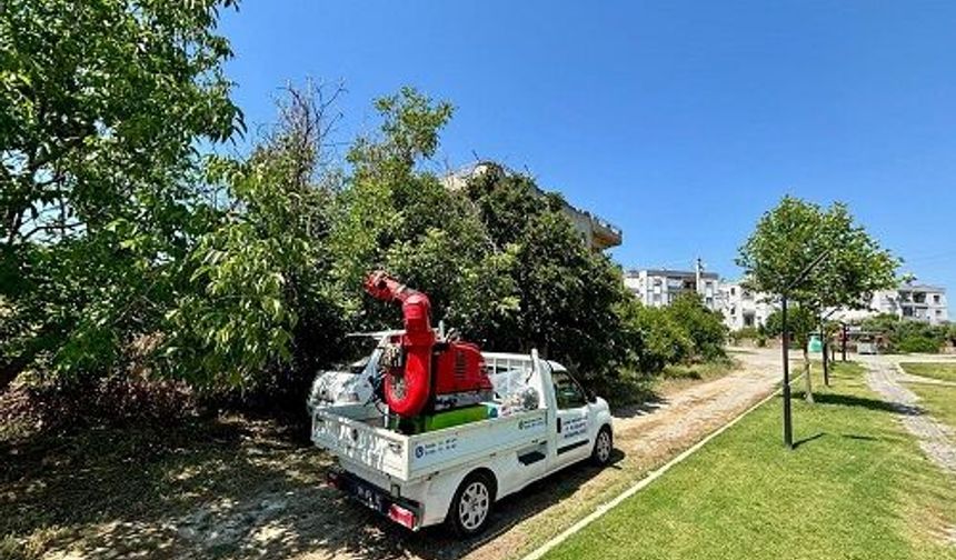 Çine Belediyesi'nden Haşerelere Karşı Etkin Mücadele