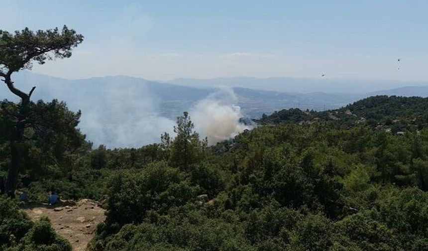 Aydın Valiliği’nden kritik orman yangını uyarısı