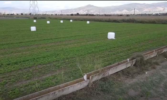 Çinehaberugur Topçambarajı1