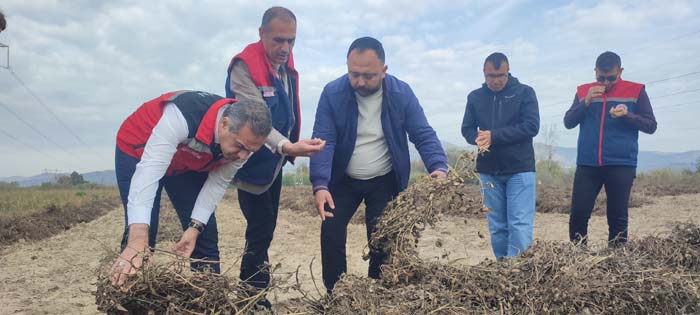 Çinehaberugurçögürlükfıstıkhasadı5