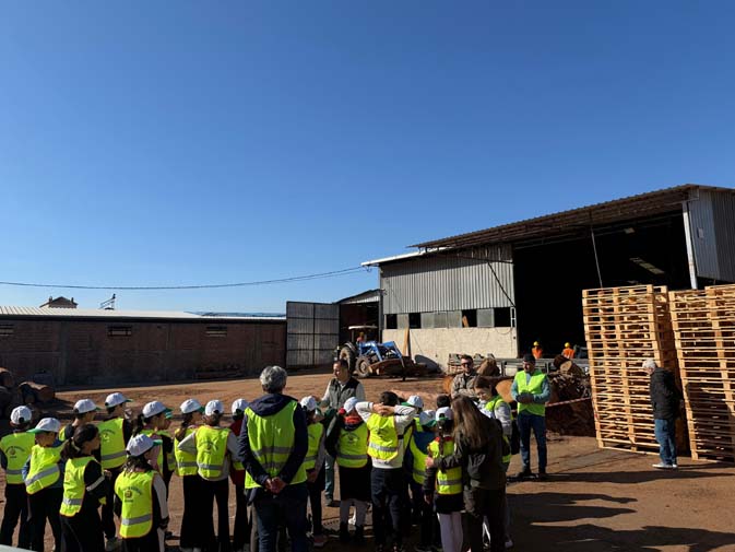 D6338A11 163B 442C Ac74 B9667Dff5471