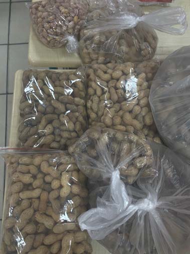 2E907977 C908 4Baf 96Ba Ac6C3Ac80Ce8