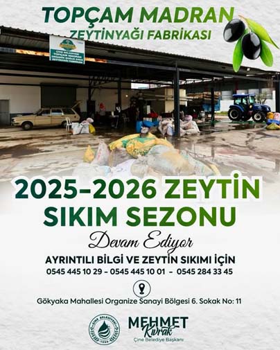 597889383 18504040048072134 1023654973296389008 N