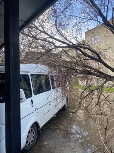 086Dbd4A 8942 4E86 84Ca 9F50B3098D36