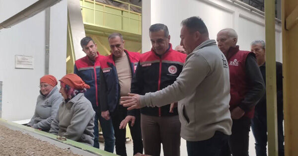 645966214 18348178756235563 4364456028235840690 N