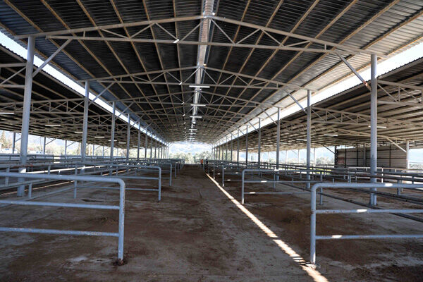 Hayvan Pazari Deneti̇mi̇ (6)