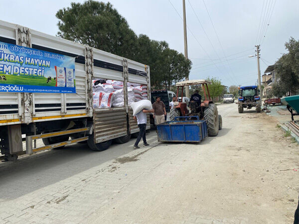 999A117C 474C 43Af 92Ff 3Da9F85384Db