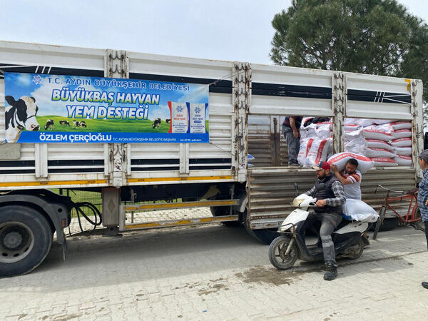 Fa7566F2 E105 4199 Acfa 4Fefeda1Cbd4