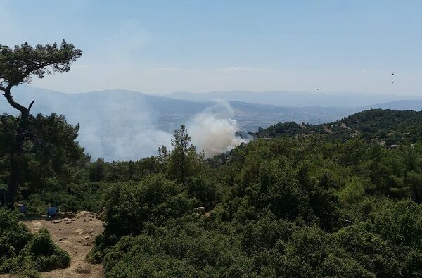 Aydın Valiliği’nden kritik orman yangını uyarısı